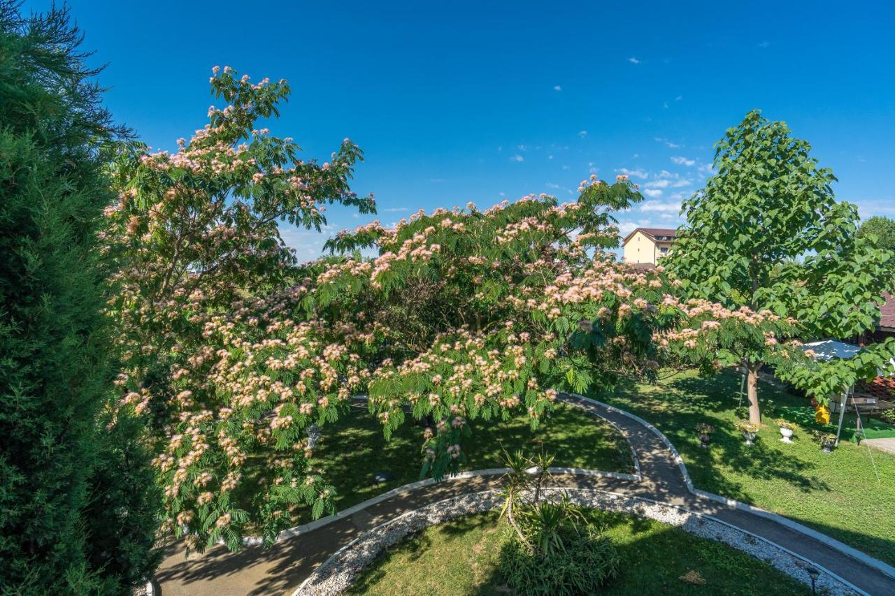 Vila Cataleya Venus Exteriör bild